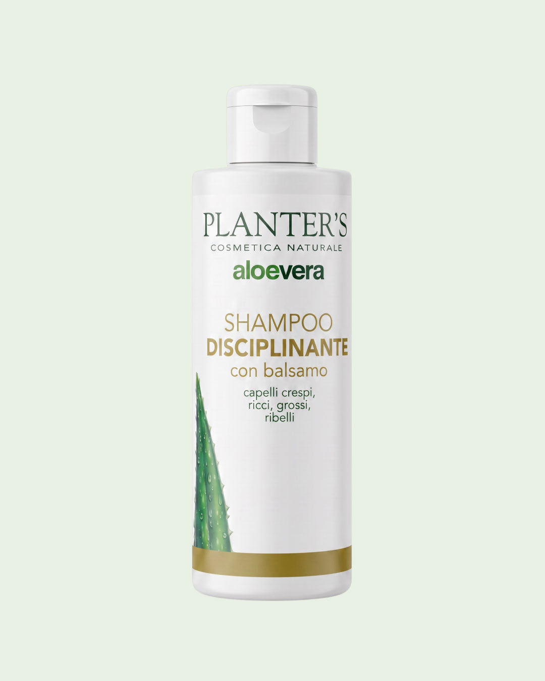 Disciplining Shampoo